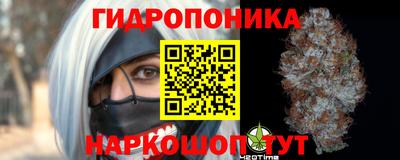 a pvp Можга