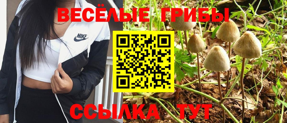 Псилоцибиновые грибы Psilocybe Унеча